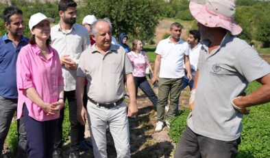 Hevsel Bahçeleri ve Dicle Vadisinin korunması için inceleme