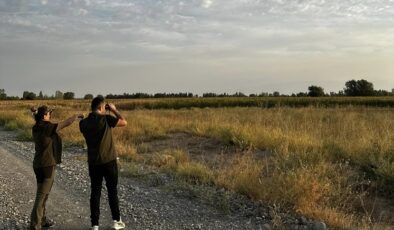 Iğdır’da doğa koruma faaliyetlerine devam ediliyor