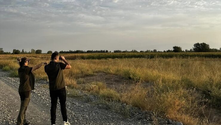 Iğdır’da doğa koruma faaliyetlerine devam ediliyor