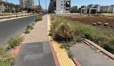 Diyarbakır’da kaldırım otlarla kaplandı