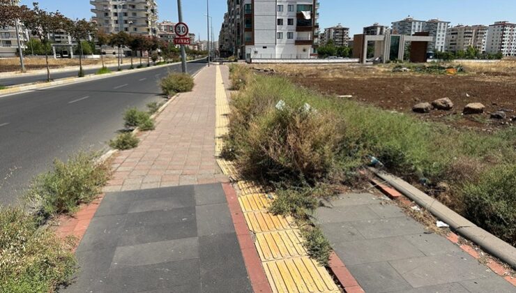 Diyarbakır’da kaldırım otlarla kaplandı