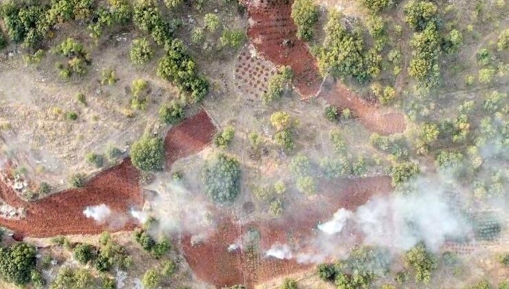 Kulp ve Lice’de  uyuşturucu operasyonu: 6 milyon 836 bin kök kenevir