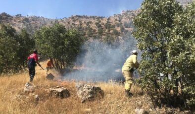 Mardin’de ormanlık alanda çıkan yangın söndürüldü