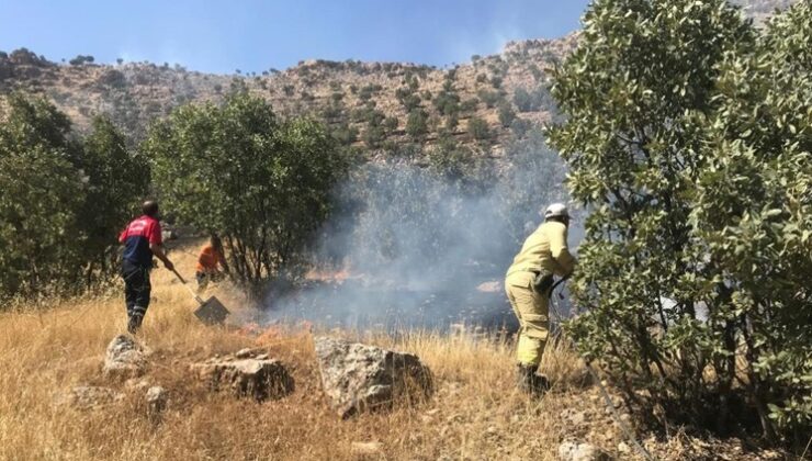 Mardin’de ormanlık alanda çıkan yangın söndürüldü