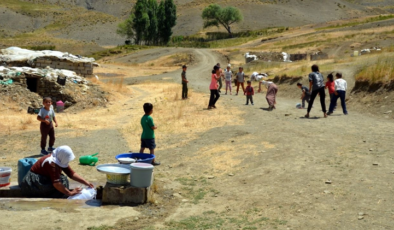 Muş’ta gün doğmadan uyanan kadınların zorlu yayla mesaisi