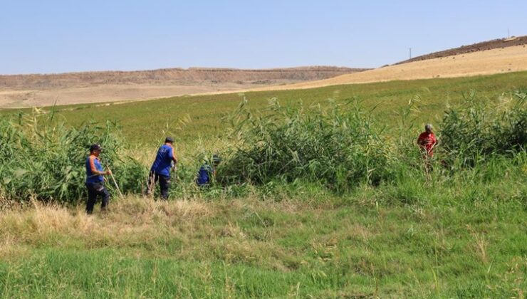 Gözaltına alınan ağabeyin kolundaki izler kayıp Narin’e ait çıkmadı