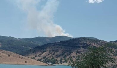 Tunceli’de orman yangını