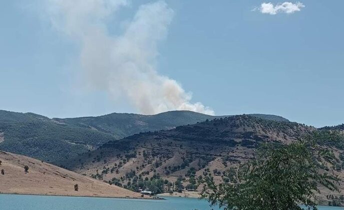 Tunceli’de orman yangını