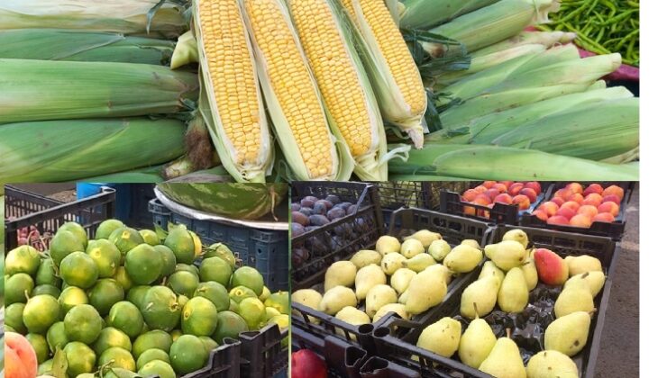 Diyarbakır’da pazar tezgahları şenleniyor
