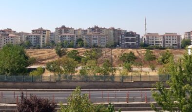 Sarı altınlar hazine edasıyla muhafaza ediliyor