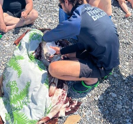 Mavi Bayrak Plajı’nda hipotermi geçiren kadın kurtarıldı
