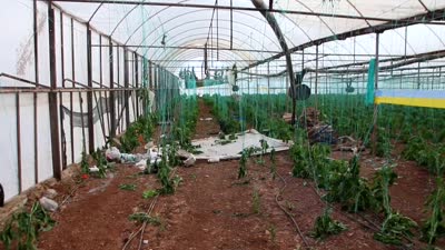 Antalya’da hortum evlere ve seralara zarar verdi