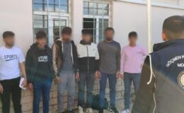 7 düzensiz göçmen sahte pasaportlarla yakalandı