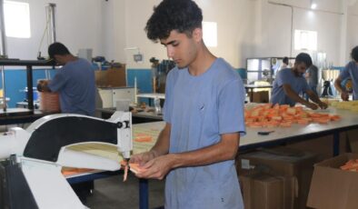 Bitlis’ten 36 ülkeye filtre ihracatı: Otomotivde büyük başarı