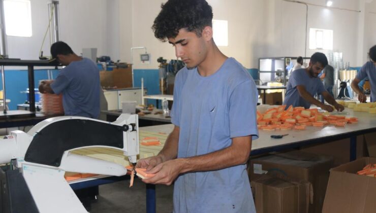 Bitlis’ten 36 ülkeye filtre ihracatı: Otomotivde büyük başarı