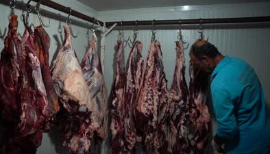Adıyaman’da izinsiz kesilen 360 kilogram et imha edildi