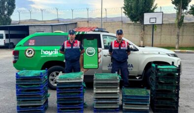 Ağrı’da kurbağa avcılarına 1.5 milyon lira para cezası kesildi