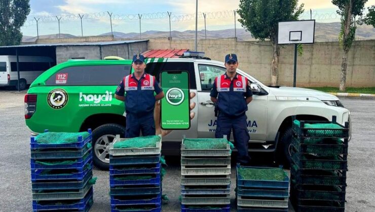 Ağrı’da kurbağa avcılarına 1.5 milyon lira para cezası kesildi