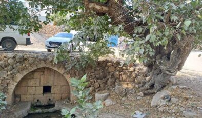 Araban’daki roma dönemi çeşmeleri kurtarılmayı bekliyor