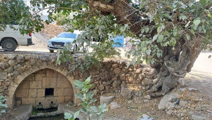 Araban’daki roma dönemi çeşmeleri kurtarılmayı bekliyor