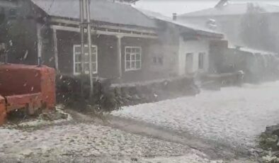 Ardahan’da dolu yağışı köyü beyaza bürüdü