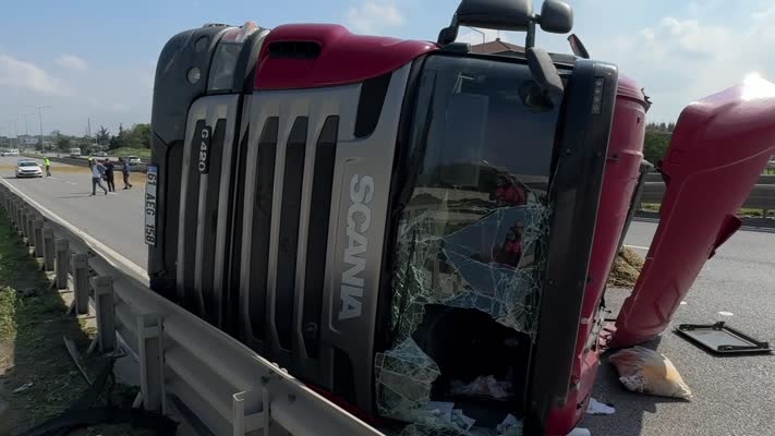 Arı sokan tır şoförü kaza yaptı, yol trafiğe kapandı