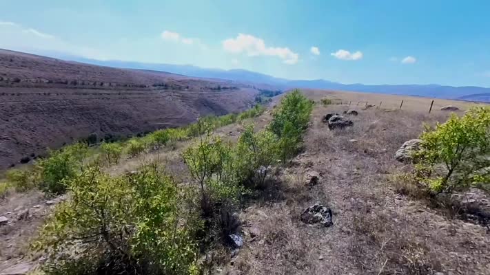Badem ormanı erozyonu önledi, köylüye ek gelir sağladı
