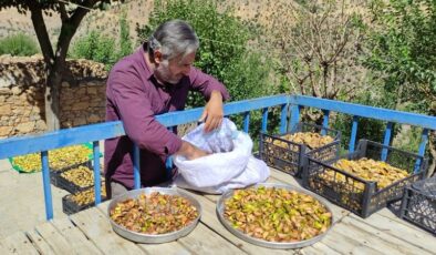 Sason’da kışa hazırlık: Meyveler damlarda kurutuluyor