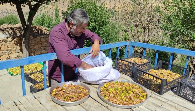Sason’da kışa hazırlık: Meyveler damlarda kurutuluyor