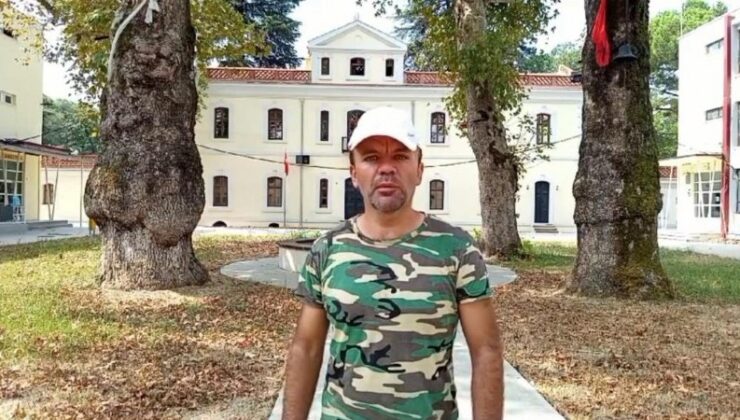 Yürüyüşte bulunan vatandaş, ağaçta devasa bal kovanı buldu