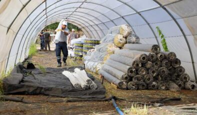 Diyarbakır’da Bitki Üretimi ve Yeşil Dönüşüm Hızlanıyor