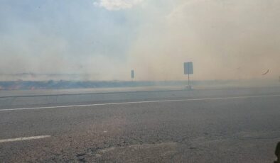 Diyarbakır’da anız yangınları yolu görülmez hale getirdi