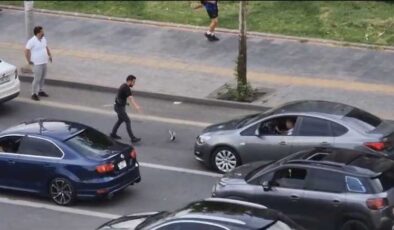 Diyarbakır’da yaralı güvercin trafiği durma noktasına getirdi
