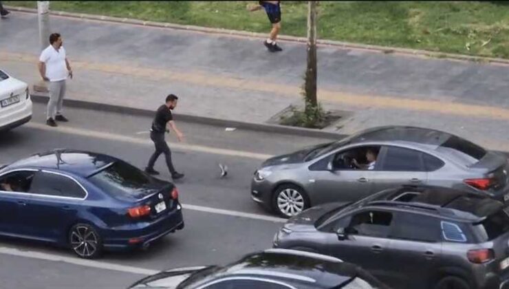 Diyarbakır’da yaralı güvercin trafiği durma noktasına getirdi