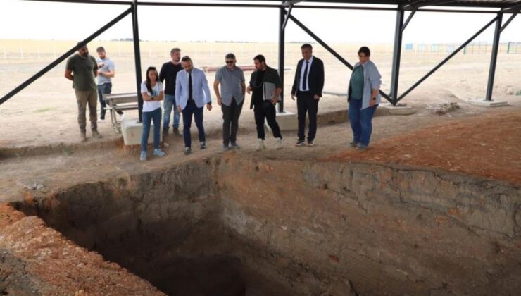 Dünyanın en eski ağrı kesicileri Küllüoba’da keşfedildi