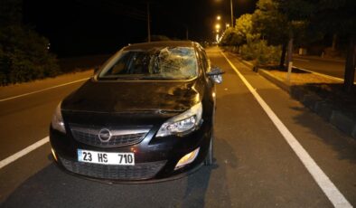 Elazığ’da otomobilin çarptığı yaşlı kadın hayatını kaybetti