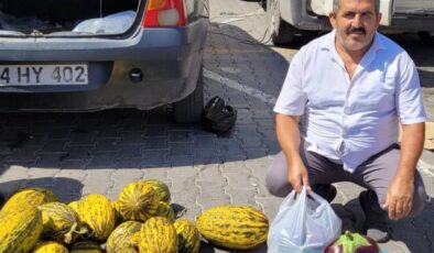 Erzincan’da çiftçi 1,5 kiloluk karpuz görünümlü patlıcan yetiştirdi