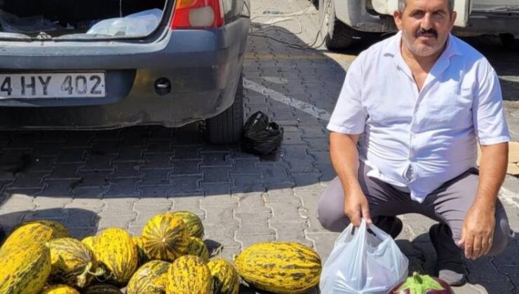 Erzincan’da çiftçi 1,5 kiloluk karpuz görünümlü patlıcan yetiştirdi