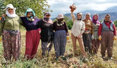 Erzincan’da işçi kadınlar soğan hasadını halayla kutladı
