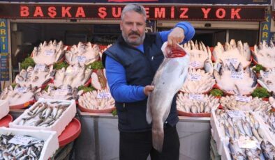 Balık satışları havaların serinlemesiyle arttı