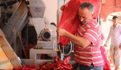 Gaziantep’te kışlık salça üretimi, yoğun talep ile başladı