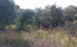 Kaybolan kişi zeytin bahçesinde ölü bulundu