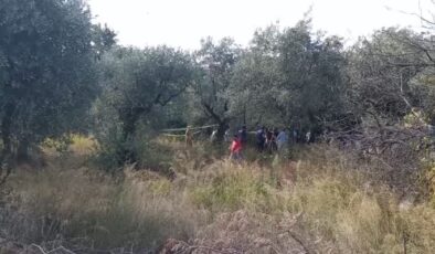 Kaybolan kişi zeytin bahçesinde ölü bulundu