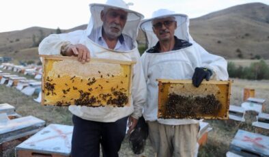 Hobi olarak başladıkları arıcılıkta 7 ton bal ürettiler