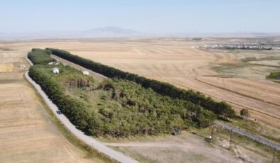 Kars’ta Benliahmet Tren İstasyonu’nda eylül güzelliği