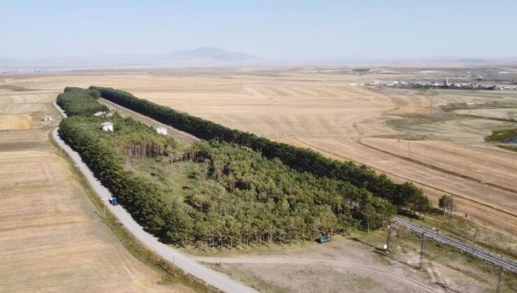Kars’ta Benliahmet Tren İstasyonu’nda eylül güzelliği