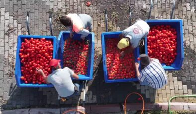 Kışlık salçaların kaynatıldığı kazanlar birlik ve beraberliği pekiştiriyor