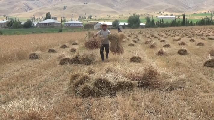 Zorluklara rağmen Hakkarili gençler tıp fakültesini kazandı