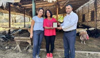 Küçük bir destekle başladı, 2 bin koyun yetiştirdi