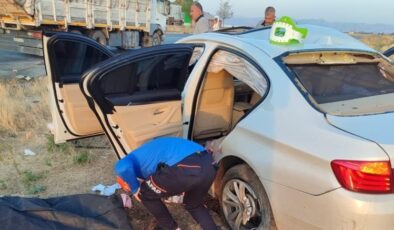 Sürüye çarpan otomobile arkadan gelen kamyon çarptı